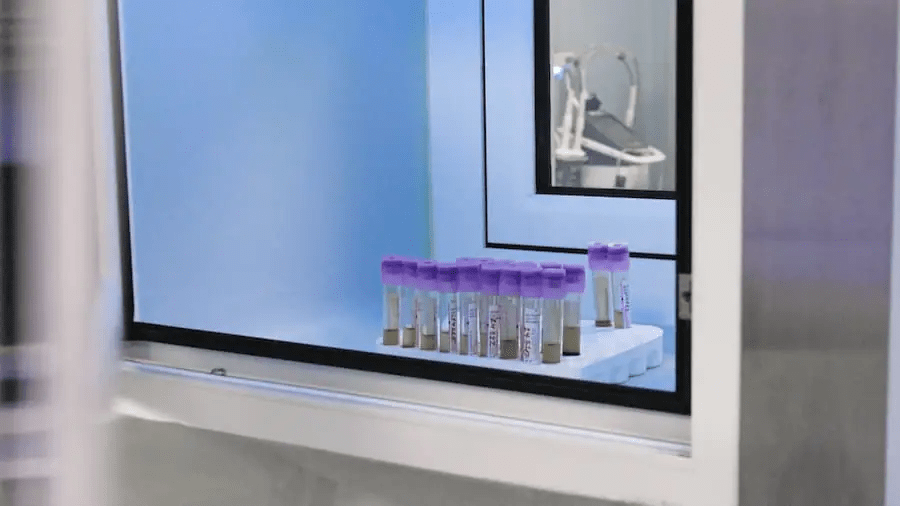 干細胞治療的安全性和副作用:全面概述