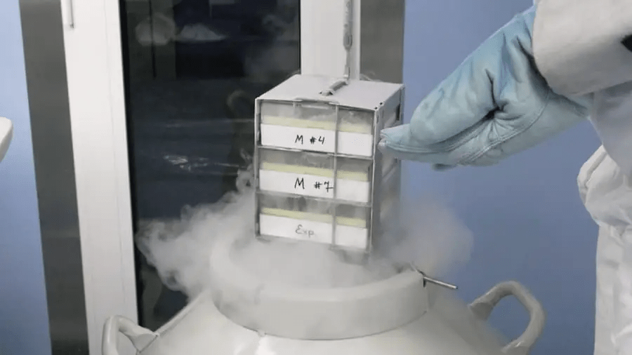 從實驗室到臨床：干細胞機構是如何生產(chǎn)高質量干細胞的？