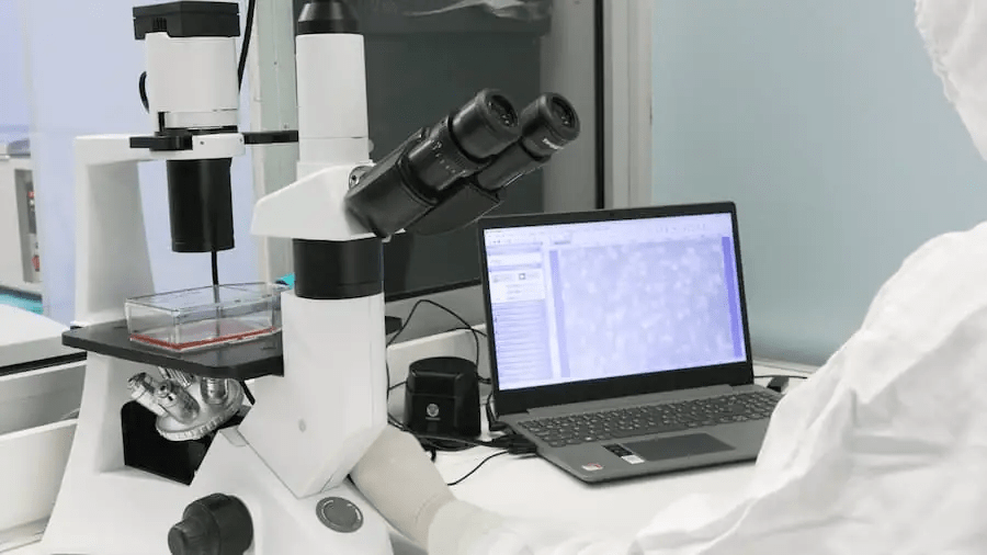 從實驗室到臨床：干細胞機構是如何生產(chǎn)高質量干細胞的？