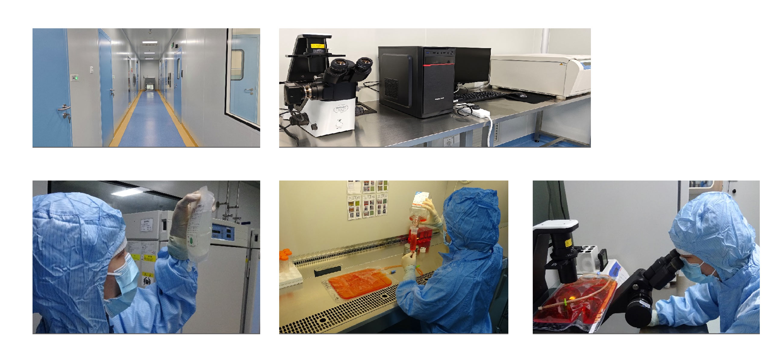 細(xì)胞制備中心(GMP)