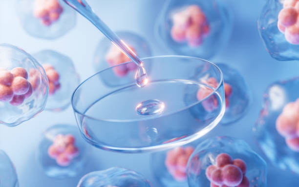 靜脈注射間充質干細胞是安全的嗎？一項包含2504名受試者的研究給出了答案！