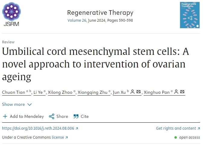 臍帶間充質干細胞:干預卵巢衰老的新方法