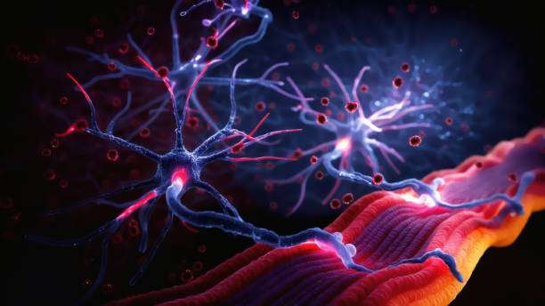 面對(duì)眾說紛紜的干細(xì)胞治療帕金森病,我們的期望是什么? 面對(duì)眾說紛紜的干細(xì)胞治療帕金森病,我們的期望是什么?