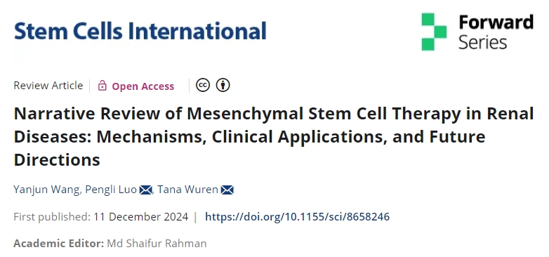 間充質干細胞治療腎臟疾病的敘述性回顧:機制、臨床應用和未來方向 最新綜述:干細胞治療腎臟疾病的機制、臨床應用和未來方向