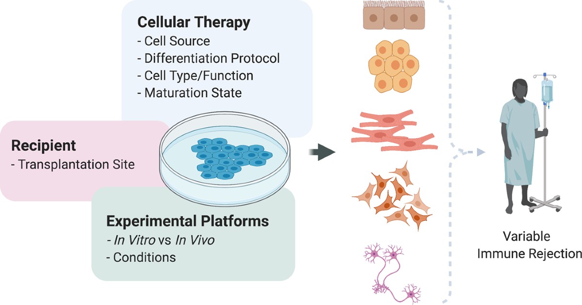 什么是排斥現象 什么是排斥現象