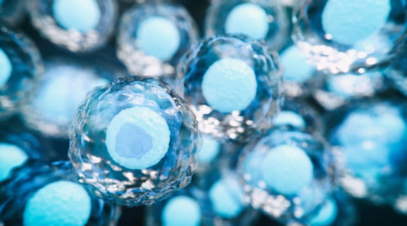 自體干細胞與異體干細胞治療糖尿病有哪些差異？