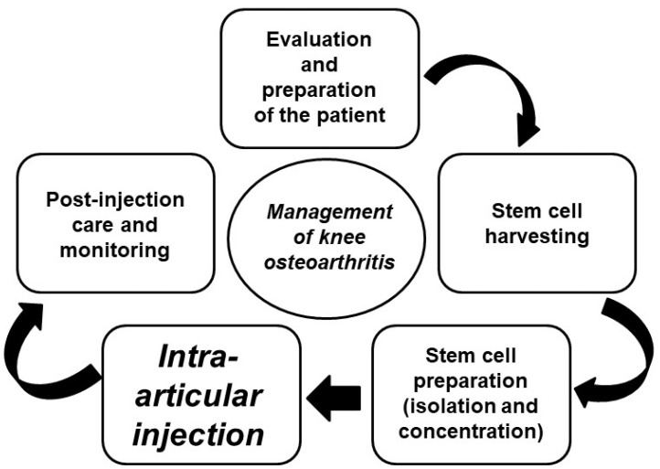 圖4:干細胞治療膝關節骨關節炎的過程 圖4:干細胞治療膝關節骨關節炎的過程