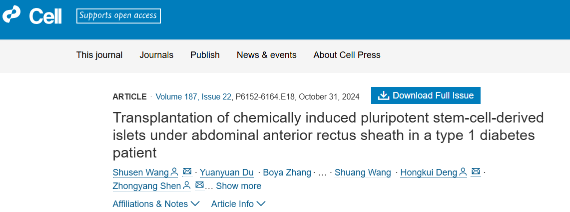 《1 型糖尿病患者腹部前直肌鞘下化學(xué)誘導(dǎo)多能干細(xì)胞來(lái)源的胰島移植》 《1 型糖尿病患者腹部前直肌鞘下化學(xué)誘導(dǎo)多能干細(xì)胞來(lái)源的胰島移植》