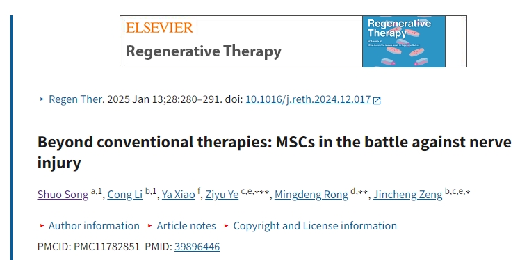 超越傳統療法：間充質干細胞對抗神經損傷