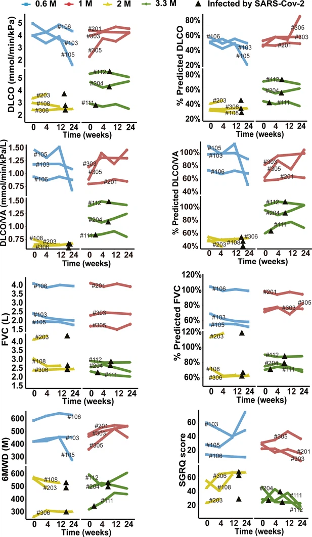 圖3-圖補充1：細胞治療后不同時間點預測DLCO%、DLCO、預測DLCO/VA%、DLCO/VA、預測FVC%、FVC、6MWD及SGRQ評分的變化。