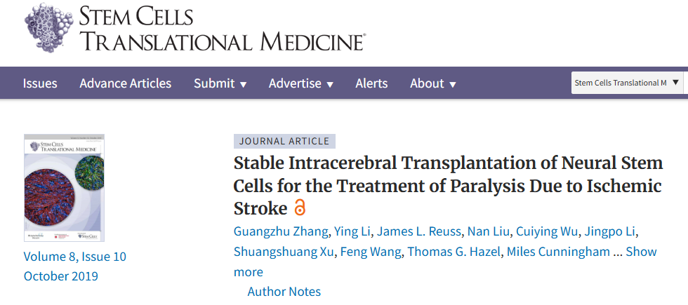 神經干細胞穩定腦內移植治療缺血性中風所致癱瘓 神經干細胞穩定腦內移植治療缺血性中風所致癱瘓