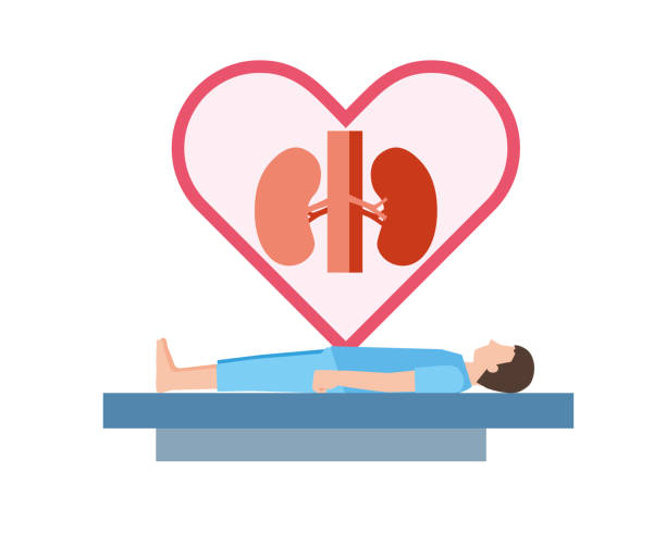 干細(xì)胞治療腎病的長(zhǎng)期安全性如何？10年隨訪記錄告訴你答案