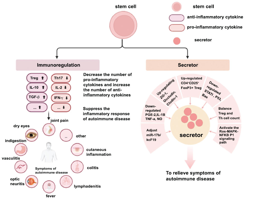 圖3:干細(xì)胞治療自身免疫性疾病。