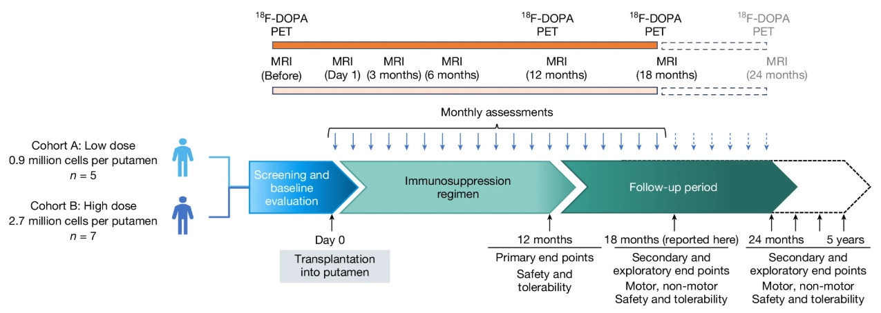 圖1：研究設(shè)計(jì)概要。患者按順序入組低劑量組和高劑量組。