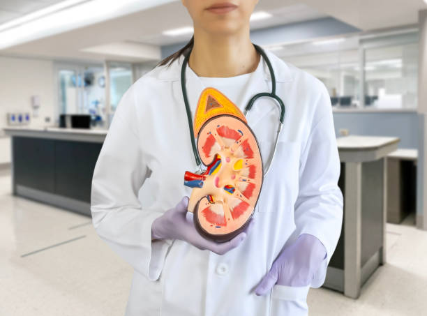 哪些腎病患者適合嘗試干細胞治療？覆蓋急性、慢性及免疫相關腎病