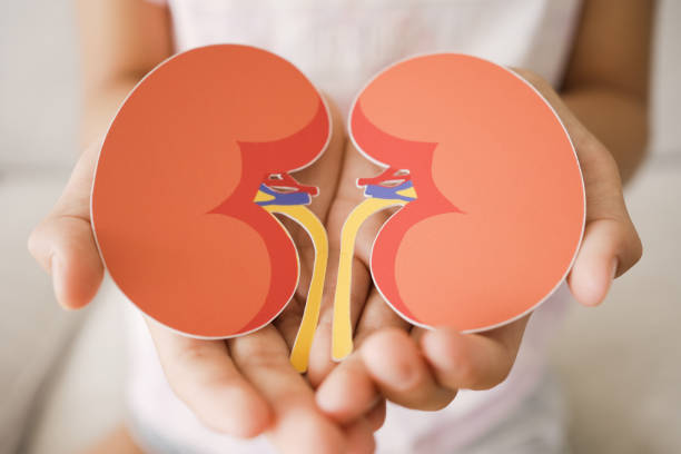 間充質(zhì)干細(xì)胞治療腎臟疾?。赫娴陌踩珕幔? class=