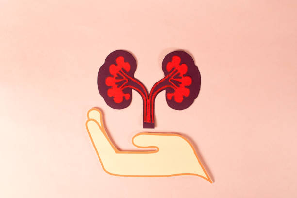 間充質干細胞治療腎?。翰煌瑒┝颗c給藥途徑會影響療效嗎？