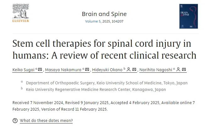 人類脊髓損傷的干細胞療法:近期臨床研究進展與轉(zhuǎn)化路徑分析 人類脊髓損傷的干細胞療法:近期臨床研究進展與轉(zhuǎn)化路徑分析