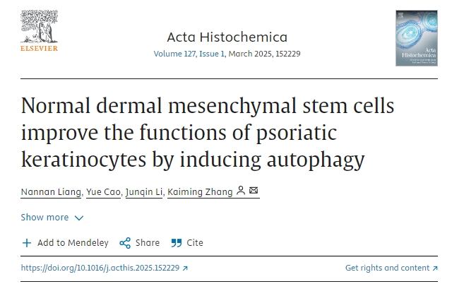 正常真皮間充質(zhì)干細(xì)胞通過誘導(dǎo)自噬改善銀屑病角質(zhì)形成細(xì)胞的功能 正常真皮間充質(zhì)干細(xì)胞通過誘導(dǎo)自噬改善銀屑病角質(zhì)形成細(xì)胞的功能