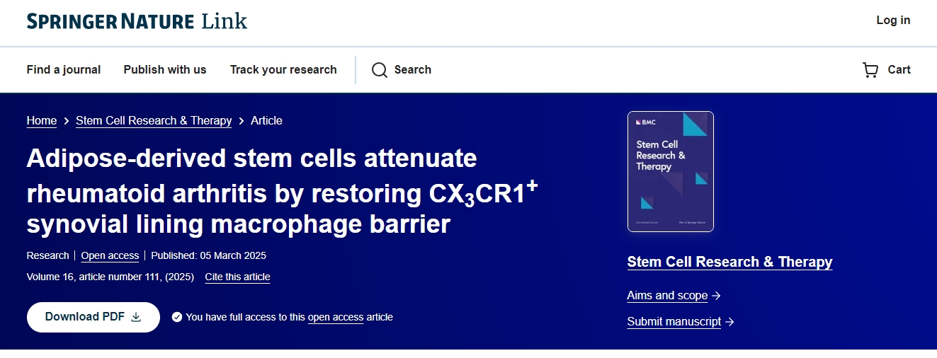脂肪干細(xì)胞通過恢復(fù) CX3CR1+滑膜內(nèi)層巨噬細(xì)胞屏障減輕類風(fēng)濕性關(guān)節(jié)炎 脂肪干細(xì)胞通過恢復(fù) CX3CR1+滑膜內(nèi)層巨噬細(xì)胞屏障減輕類風(fēng)濕性關(guān)節(jié)炎