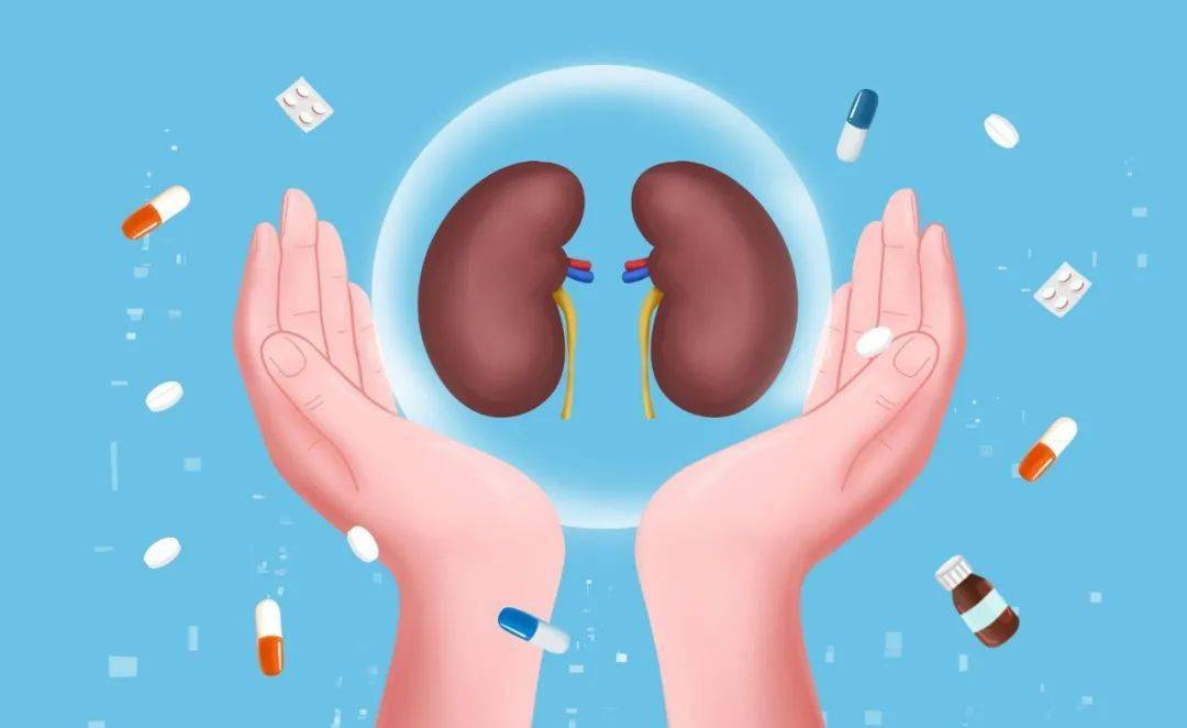 干細胞治療腎病國家叫停了？科學爭議與政策博弈背后的真相