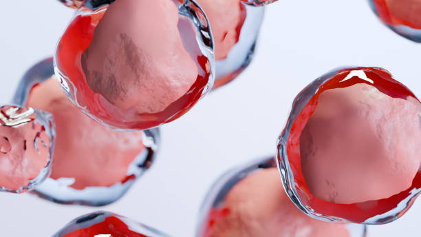 臍帶血干細胞移植的優(yōu)缺點有哪些：30kg以下首選，成人應(yīng)用存在瓶頸