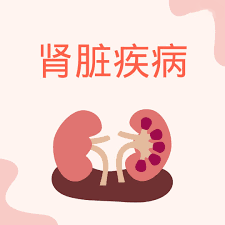 干細(xì)胞治療腎病：什么時(shí)候進(jìn)入臨床？