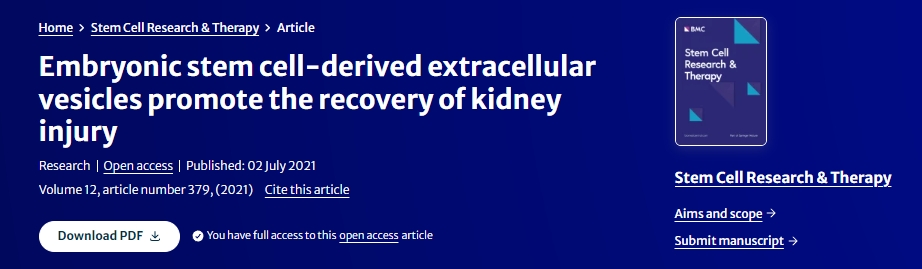 胚胎干細胞來源的細胞外囊泡促進腎臟損傷的恢復 胚胎干細胞來源的細胞外囊泡促進腎臟損傷的恢復