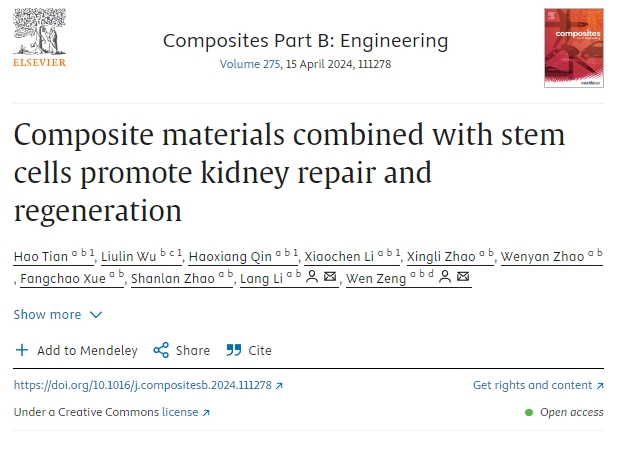 復合材料結合干細胞促進腎臟修復再生 復合材料結合干細胞促進腎臟修復再生