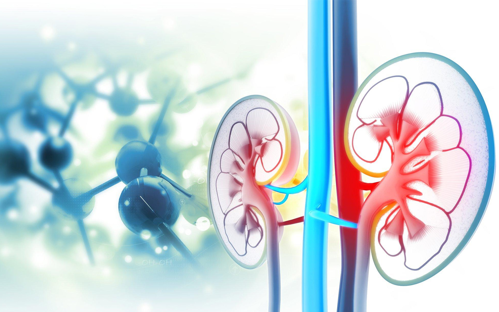 REGEND003:全球首款腎干細胞治療慢性腎病獲批臨床試驗 REGEND003:全球首款腎干細胞治療慢性腎病獲批臨床試驗