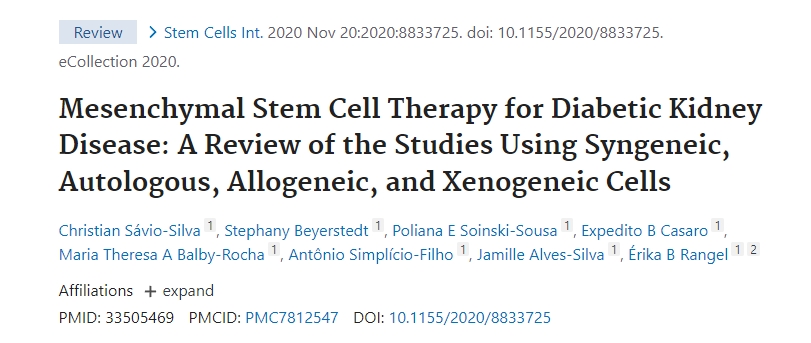 間充質(zhì)干細胞治療糖尿病腎病：同基因、自體、同種異體和異種異體細胞研究的回顧