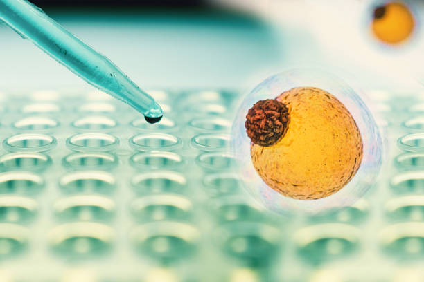 人工干細胞治療腎病的臨床應(yīng)用 人工干細胞治療腎病的臨床應(yīng)用