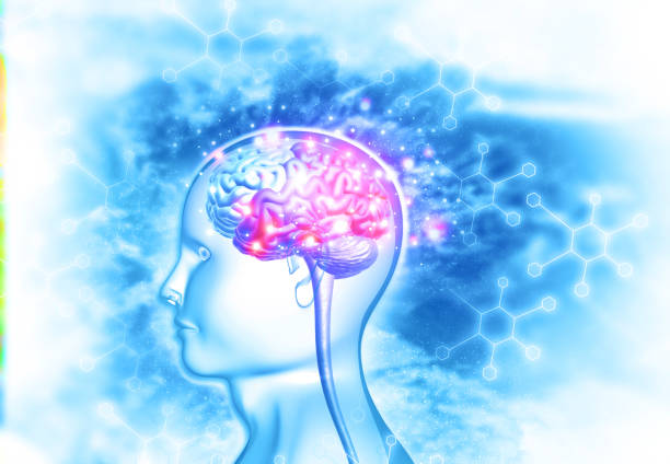 腦出血治療新希望：間充質干細胞治療臨床安全有效？最新證據來了