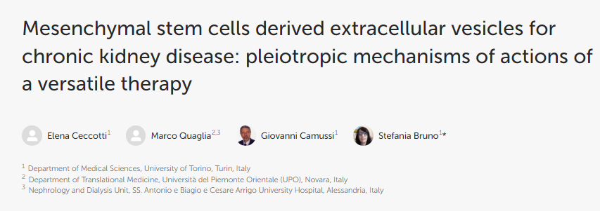 間充質(zhì)干細胞衍生的細胞外囊泡用于治療慢性腎臟病:多功能療法的多效作用機制 間充質(zhì)干細胞衍生的細胞外囊泡用于治療慢性腎臟病:多功能療法的多效作用機制