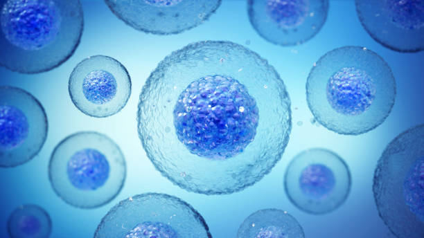 干細(xì)胞治療神經(jīng)退行性疾病的干細(xì)胞類型都有哪些？