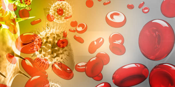 上海有哪些醫院開展了干細胞治療血液病與腫瘤的研究？