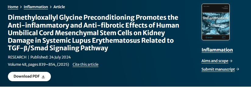 二甲基草酰甘氨酸預(yù)處理促進(jìn)人臍帶間充質(zhì)干細(xì)胞對(duì)系統(tǒng)性紅斑狼瘡腎臟損傷的抗炎和抗纖維化作用與TGF-β/Smad信號(hào)通路相關(guān) 二甲基草酰甘氨酸預(yù)處理促進(jìn)人臍帶間充質(zhì)干細(xì)胞對(duì)系統(tǒng)性紅斑狼瘡腎臟損傷的抗炎和抗纖維化作用與TGF-β/Smad信號(hào)通路相關(guān)