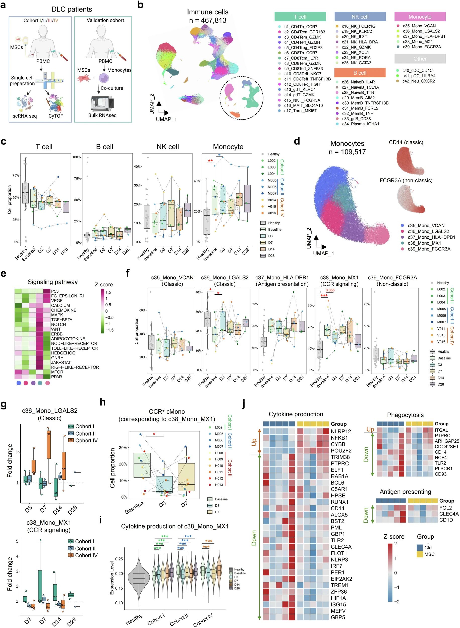 圖3：MSC治療下DLC患者的動(dòng)態(tài)單細(xì)胞景觀