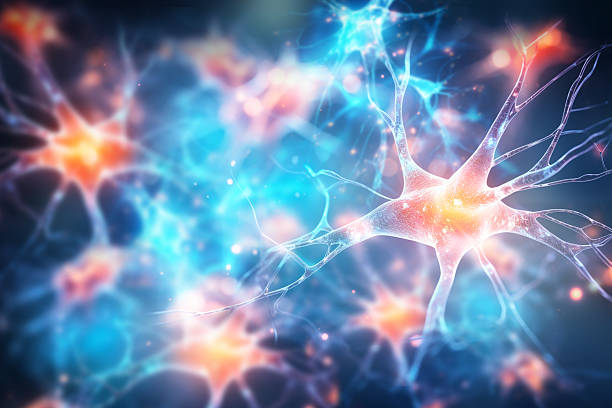 神經(jīng)干細(xì)胞移植能治療哪些疾病?包含帕金森、脊髓損傷等6大適應(yīng)癥 神經(jīng)干細(xì)胞移植能治療哪些疾病?包含帕金森、脊髓損傷等6大適應(yīng)癥