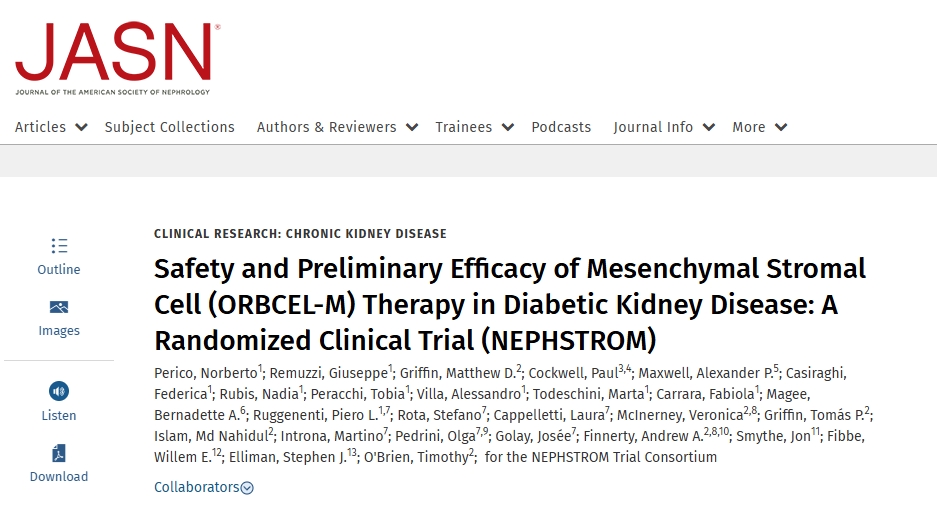 間充質(zhì)基質(zhì)細(xì)胞(ORBCEL-M)治療糖尿病腎病的安全性和初步療效:一項隨機臨床試驗(NEPHSTROM) 間充質(zhì)基質(zhì)細(xì)胞(ORBCEL-M)治療糖尿病腎病的安全性和初步療效:一項隨機臨床試驗(NEPHSTROM)