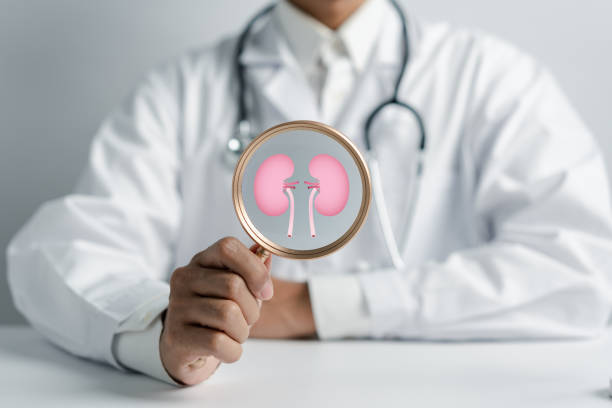 動脈內(nèi)輸注間充質(zhì)干細(xì)胞治療糖尿病腎病,腎功能衰退顯著減緩 動脈內(nèi)輸注間充質(zhì)干細(xì)胞治療糖尿病腎病,腎功能衰退顯著減緩