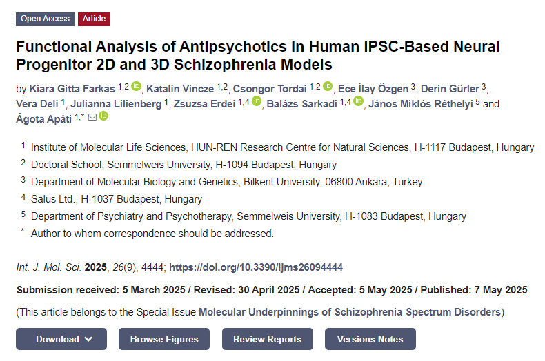 抗精神病藥物在基于人類 iPSC 的神經祖細胞2D和3D精神分裂癥模型中的功能分析 抗精神病藥物在基于人類 iPSC 的神經祖細胞2D和3D精神分裂癥模型中的功能分析
