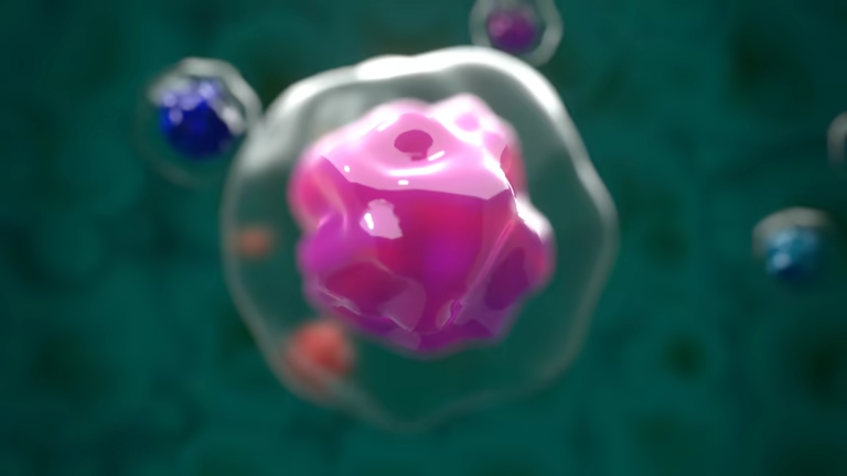 重磅解讀：干細胞如何修復1型糖尿病？3大核心作用機制全解析