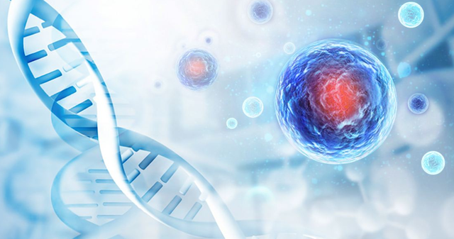 間充質(zhì)干細(xì)胞療法 間充質(zhì)干細(xì)胞療法