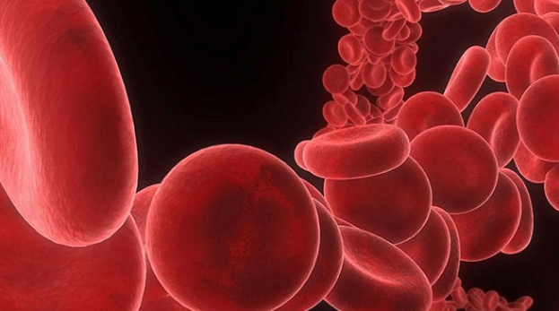 造血干細(xì)胞療法 造血干細(xì)胞療法