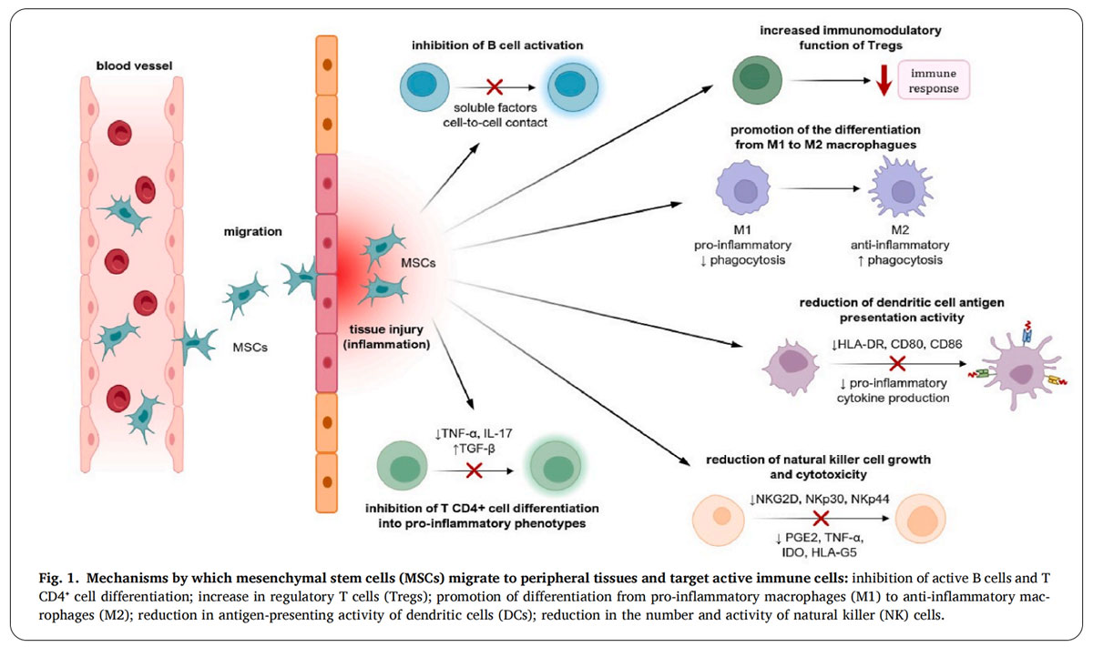 紅斑狼瘡臨床試驗 紅斑狼瘡臨床試驗