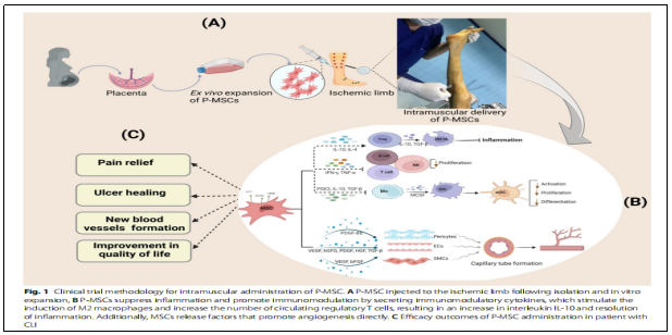 臨床試驗 臨床試驗