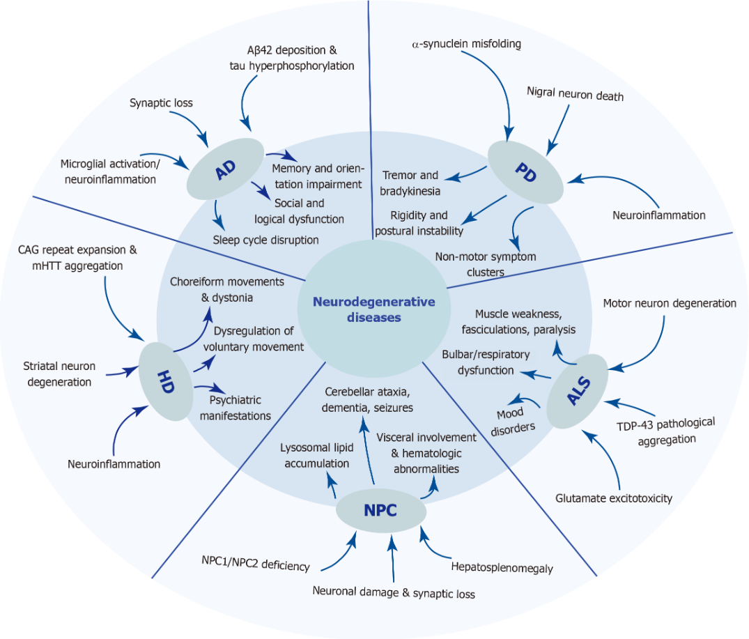 圖1：五種神經(jīng)退行性疾病的發(fā)病機(jī)制和臨床表現(xiàn)。 該圖總結(jié)了五種神經(jīng)退行性疾病復(fù)雜的病因和表型譜。