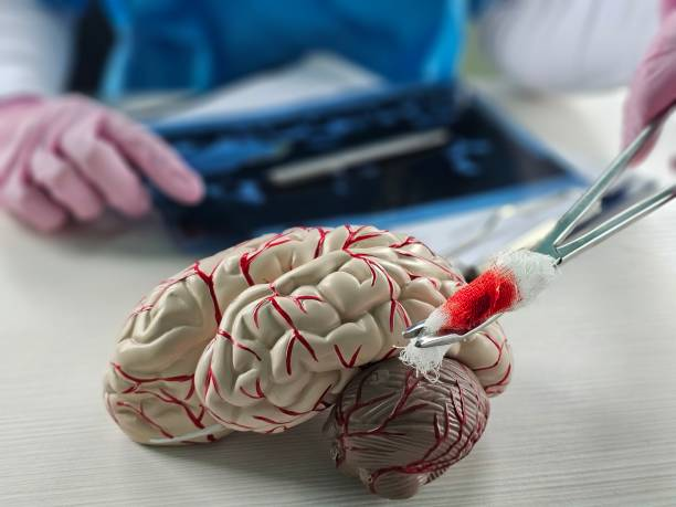 “開關現(xiàn)象”能解決?干細胞為帕金森病治療帶來新希望 “開關現(xiàn)象”能解決?干細胞為帕金森病治療帶來新希望