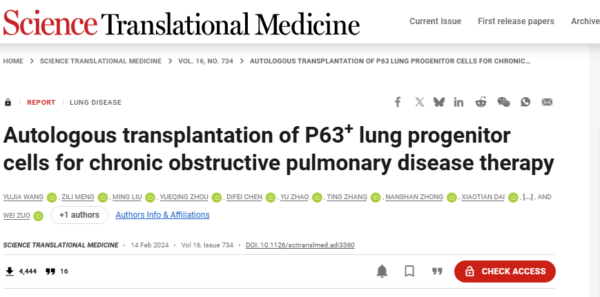 左為教授團隊與鐘南山院士等合作肺前體細胞治療慢阻肺臨床研究成果登上《科學-轉化醫學》 左為教授團隊與鐘南山院士等合作肺前體細胞治療慢阻肺臨床研究成果登上《科學-轉化醫學》